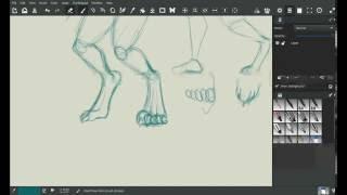 How I draw Anthro Legs