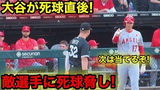 「大谷が脅威！」死球直後にゲビンへの死球宣言！【現地映像】