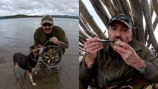 Mud oysters in the driftwood hut