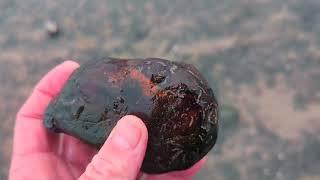 Seal rock and Ona beach Jasper hunting.