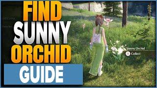 Where To Find Sunny Orchids In Infinity Nikki