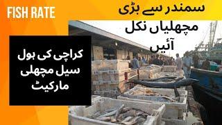 karachi fishery market: Karachi Biggest Fish Market