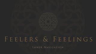 Feelers and Feelings