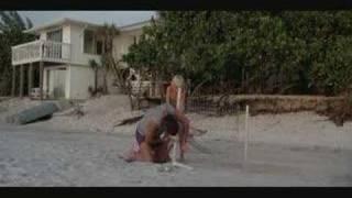 Manhunter - Beach scene