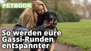 Leinenführigkeit trainieren | Dogschool | PETBOOK