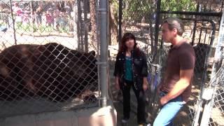 Alpine Zoo - Big Bear, California