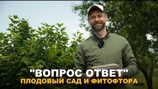 РУБРИКА "ВОПРОС-ОТВЕТ": Отвечаю на ваши вопросы о фитофторе, плодовом саде, спарже и биопрепаратах.