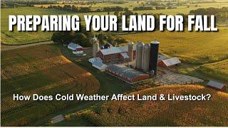 How Does Cold Weather Affect Land and Livestock?