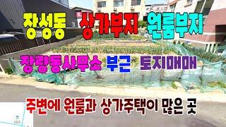 545 장성동 상가주지매매 장량동사무소 부근 원룸부지매매 주변에 상가주택과 원룸건물이 많은 포항상가주택부지매매 포항부동산 장성부동산 양덕부동산 지목부동산