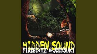 Hidden Sound