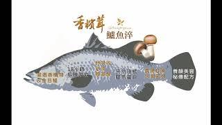 香檳茸 鱸魚淬的優點 樂活生技