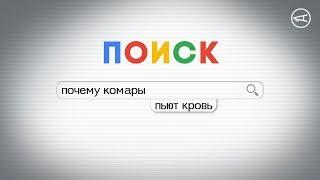 Почему комары пьют кровь? Накипело