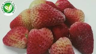 Wholesale frozen strawberry -Xiamen Sharp Dragon International Trading Co.,Ltd