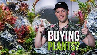 4 TIPS for Buying New Aquarium Plants - What to Know When Purchasing For Your Aquascape!