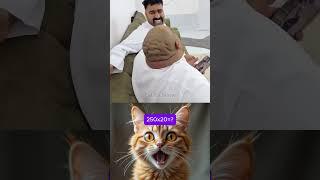 give this video title   (warning answer) #cat #meme #funny #dance
