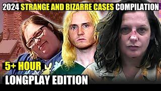 The 2024 Strange and Dark Cases Compilation #longplay