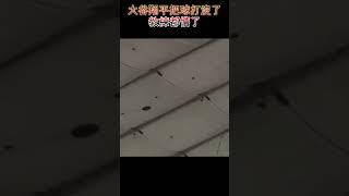 大谷翔平把球打到東京巨蛋天花板上，把教練都看懵了。