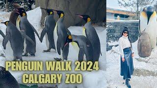 Penguin walk | Calgary zoo | Canada’s most visited zoo | Different animals zones | Winters 2024