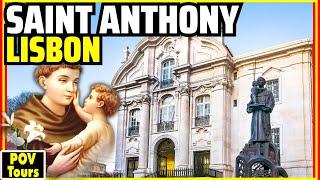 Saint Anthony's Life Story: From Lisbon to Padua