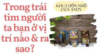 Trong trái tim người ta bạn ở vị trí nào & ra sao? {Đang quen/Crush} | Chọn 1 tụ bài | Xem tarot