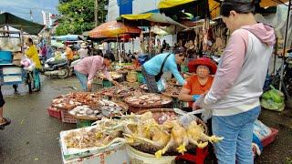 Cambodian Early Morning Fish Market Tours - Plenty Alive River Fish, Dry Fish, Seafood & Vegetables