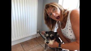 How to drain and refill a central heating system