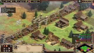 Dominating with Early Castle Drops: AOE2 DE