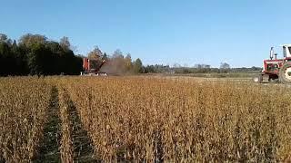 Combining Beans Fall '17