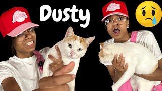 What happen to my adopted cat DUSTY