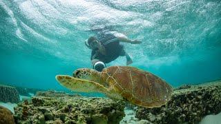 Queensland tourism heads push for cash payments over interest free loans