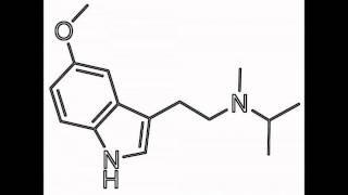 Moxie [5-MeO-MiPT], Tryptamine MDMA?