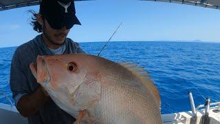 Largemouth Nannygai Fishing. Inshore Wonky Holes