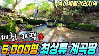 초급매로 팝니다! 5,000평이 넘는 최상류 계곡땅~ 모든 것이 다 되는 토지