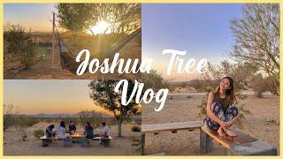 USC Students ENJOYING LIFE in Joshua Tree *GOOD VIBES ONLY with my Cool Friends*