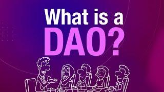 What is a DAO?