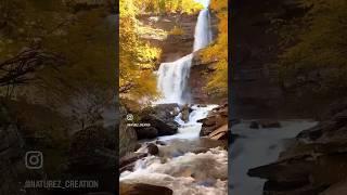 Hidden Gem in NY to visit in fall #hiking #fall #nature #autumn #waterfall #waterfallhike #feelgood