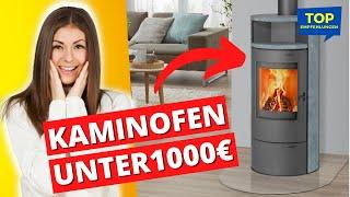 Bester Kaminofen unter 1.000€? THERMIA Kaminofen München - Kaminöfen Kaufberatung