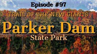 Parker Dam State Park: PEAK fall foliage, hiking the Trail of New Giants!