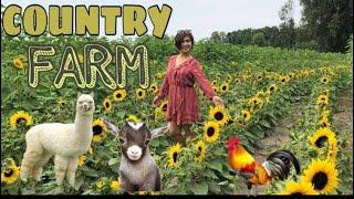 A DAY IN A LIFE| COUNTRY FARM VISIT | IMMIGRANT IN CANADA