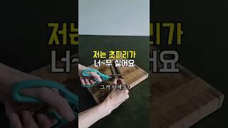 다이소추천의외로 쉬운 초파리 날파리 완벽 제거법 #다이소추천 #초파리제거