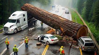 Dangerous Idiots Truck & Heavy Equipment Fails Compilation | Extreme Truck Idiots at Work #24