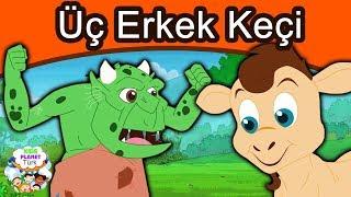 Üç Erkek Keçi | Masal Dinle | Masallar | Türkçe çocuk masalları izle 2019 | Türkçe Peri Masallar