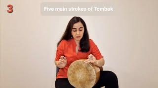 Five main strokes of Tombak, Niloufar Mohseni