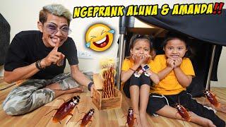 SEHARIAN NGEPRANK ALUNA DAN AMANDA‼️  wkwkwk