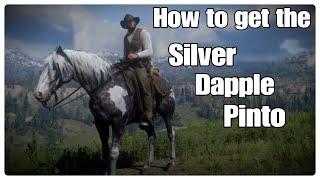 HOW TO GET THE SILVER DAPPLE PINTO IN CHAPTER 2. * This is now patched * Red Dead Redemption 2