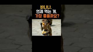바나나 공복에 먹어도 될까?｜속쓰림·혈당·숙면 효과까지 #건강정보 #알고먹자
