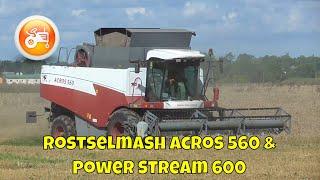 Harvest 2021 | Rostselmash Acros 560 & Power Stream 600 header