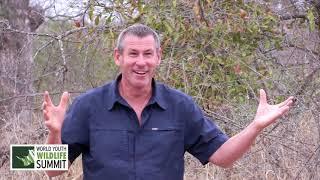 Ivan Carter - How can I make a better impact? - WYWS Interview