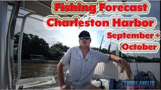 Fishing Forecast - Charleston Harbor SEPT/OCT - Capt Zach Litchfield at Port City Charters