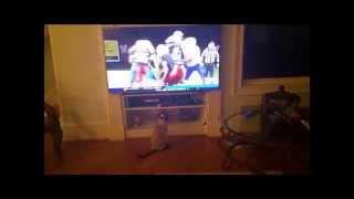 Janet Loper - NextGen Real Estate - My Cat "Sushi" Tries To Intercept Football